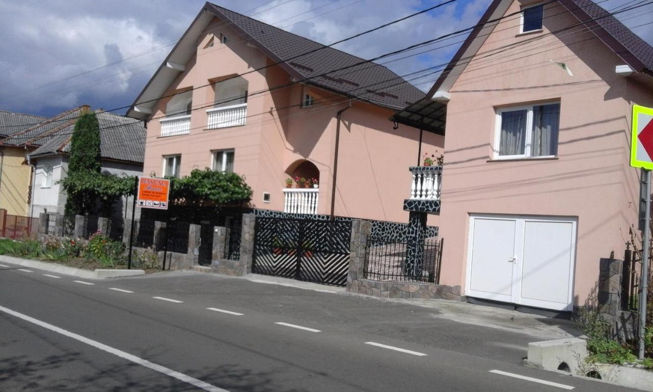 Hotel Casa Anca Sighetu Marmaţiei Exterior foto