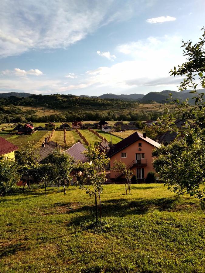 Hotel Casa Anca Sighetu Marmaţiei Exterior foto